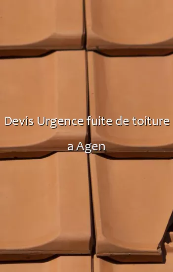 Devis Urgence fuite de toiture a Agen