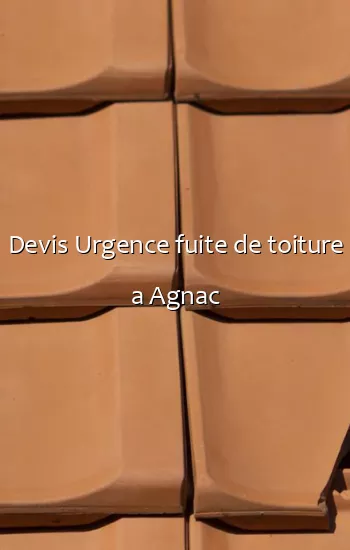 Devis Urgence fuite de toiture a Agnac