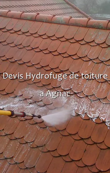 Devis Hydrofuge de toiture a Agnac