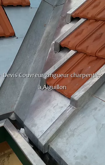 Devis Couvreur zingueur charpentier a Aiguillon