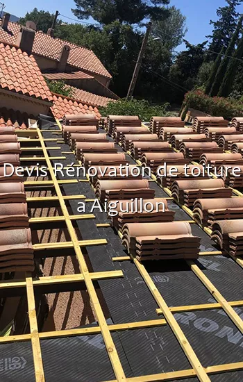 Devis Rénovation de toiture a Aiguillon