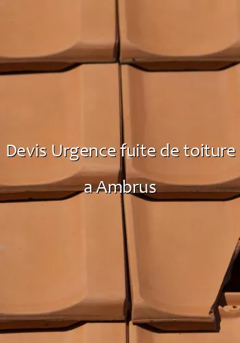 Devis Urgence fuite de toiture a Ambrus