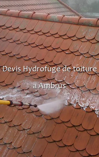 Devis Hydrofuge de toiture a Ambrus