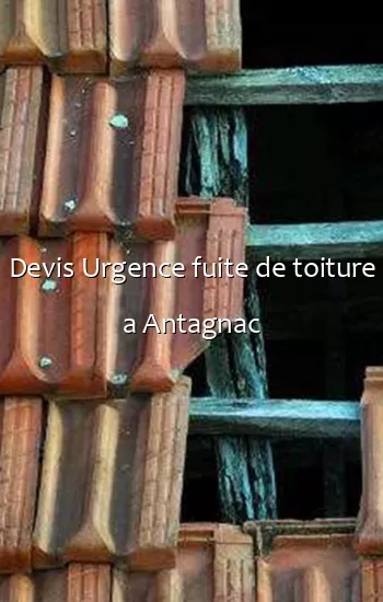 Devis Urgence fuite de toiture a Antagnac