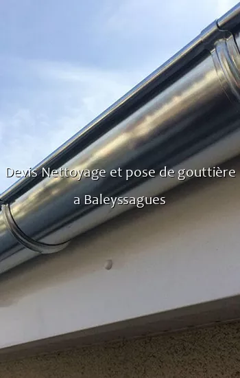 Devis Nettoyage et pose de gouttière a Baleyssagues