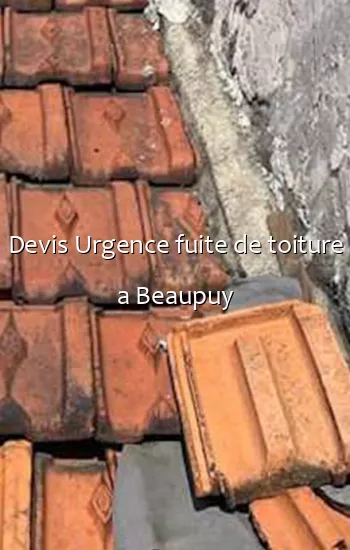 Devis Urgence fuite de toiture a Beaupuy