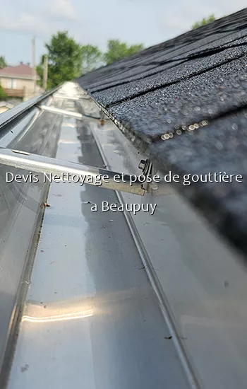 Devis Nettoyage et pose de gouttière a Beaupuy