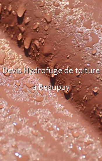 Devis Hydrofuge de toiture a Beaupuy