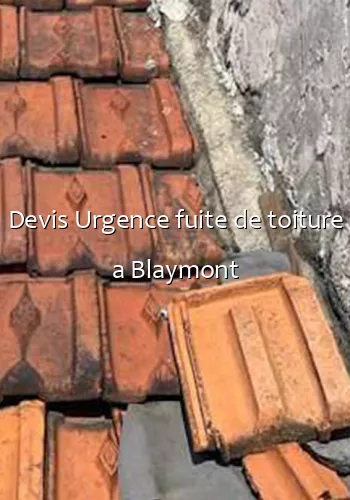 Devis Urgence fuite de toiture a Blaymont