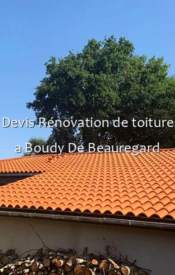 Devis Rénovation de toiture a Boudy De Beauregard