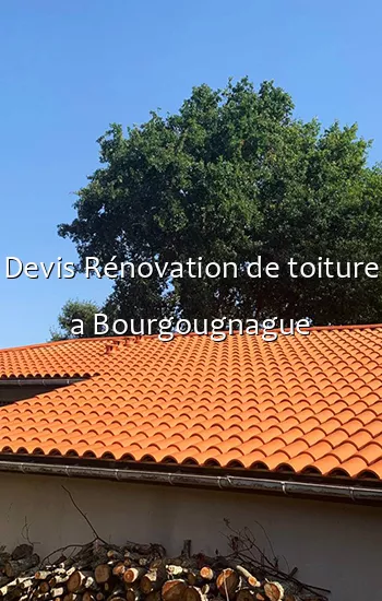 Devis Rénovation de toiture a Bourgougnague