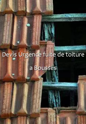 Devis Urgence fuite de toiture a Bousses