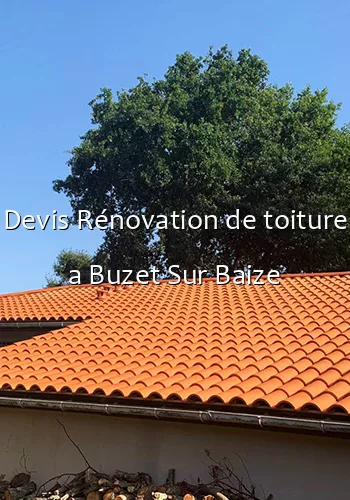 Devis Rénovation de toiture a Buzet Sur Baize