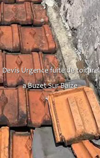 Devis Urgence fuite de toiture a Buzet Sur Baize