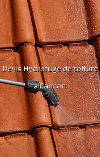 Devis Hydrofuge de toiture a Cancon