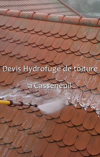 Devis Hydrofuge de toiture a Casseneuil