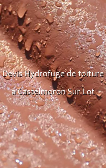 Devis Hydrofuge de toiture a Castelmoron Sur Lot