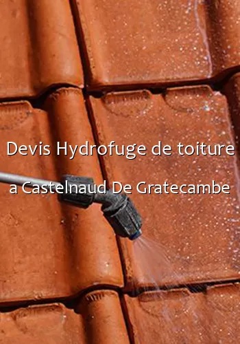 Devis Hydrofuge de toiture a Castelnaud De Gratecambe