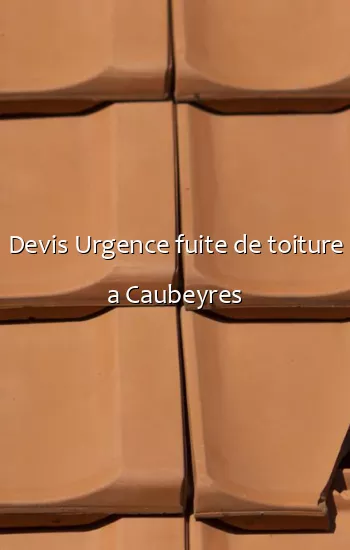 Devis Urgence fuite de toiture a Caubeyres