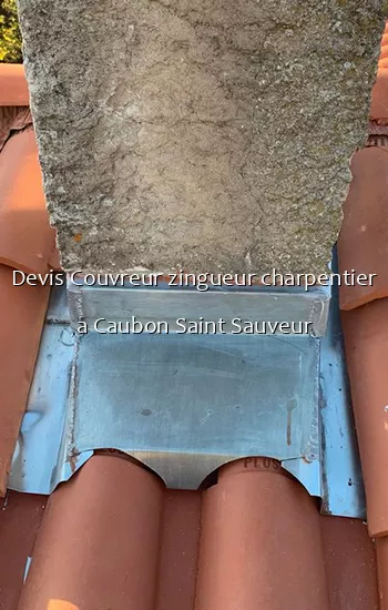 Devis Couvreur zingueur charpentier a Caubon Saint Sauveur