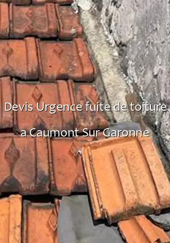 Devis Urgence fuite de toiture a Caumont Sur Garonne