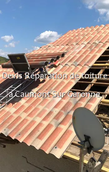 Devis Réparation de toiture a Caumont Sur Garonne