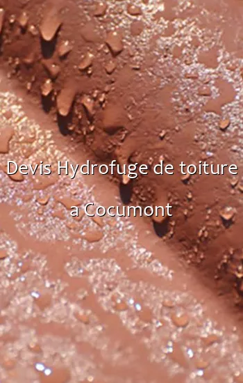 Devis Hydrofuge de toiture a Cocumont