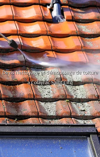 Devis Nettoyage et démoussage de toiture a Colayrac Saint Cirq