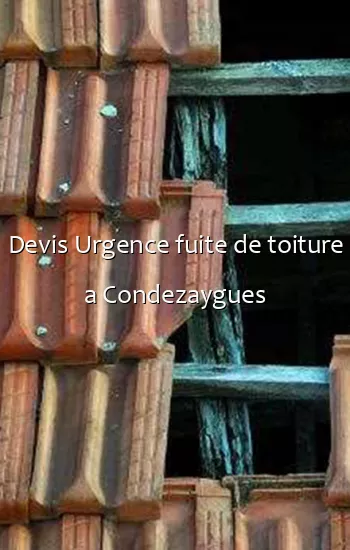 Devis Urgence fuite de toiture a Condezaygues