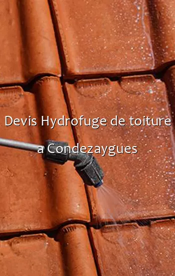 Devis Hydrofuge de toiture a Condezaygues