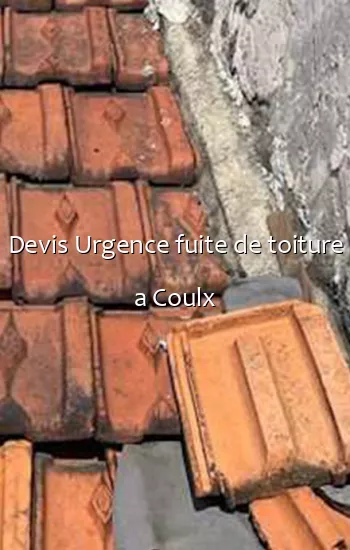 Devis Urgence fuite de toiture a Coulx