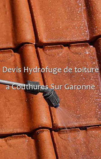 Devis Hydrofuge de toiture a Couthures Sur Garonne