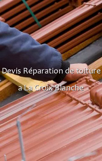 Devis Réparation de toiture a La Croix Blanche