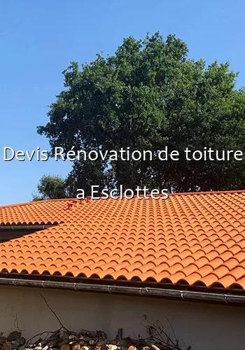 Devis Rénovation de toiture a Esclottes