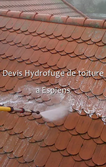 Devis Hydrofuge de toiture a Espiens