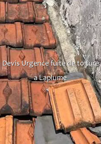 Devis Urgence fuite de toiture a Laplume