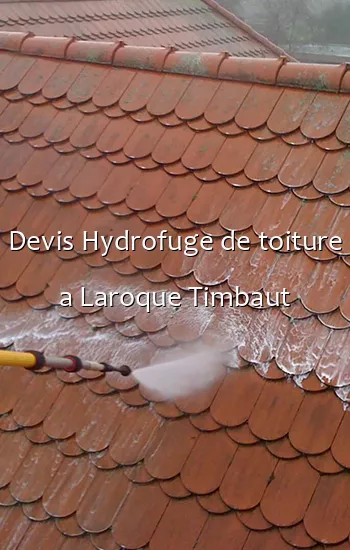 Devis Hydrofuge de toiture a Laroque Timbaut