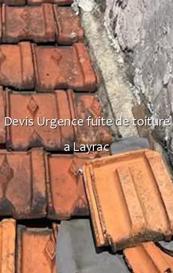 Devis Urgence fuite de toiture a Layrac