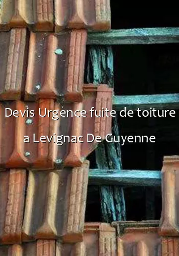 Devis Urgence fuite de toiture a Levignac De Guyenne