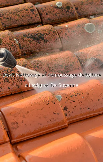 Devis Nettoyage et démoussage de toiture a Levignac De Guyenne