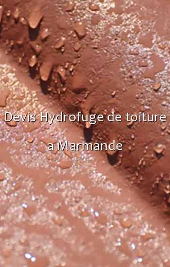 Devis Hydrofuge de toiture a Marmande