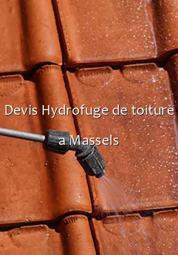 Devis Hydrofuge de toiture a Massels