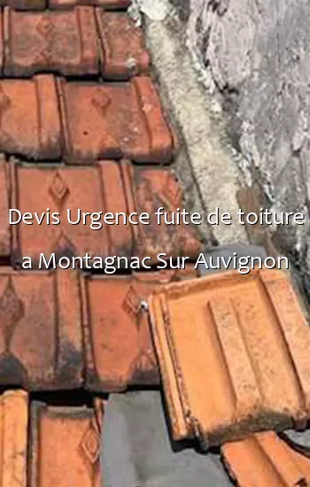 Devis Urgence fuite de toiture a Montagnac Sur Auvignon