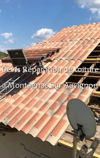 Devis Réparation de toiture a Montagnac Sur Auvignon