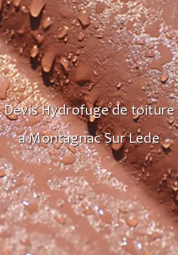 Devis Hydrofuge de toiture a Montagnac Sur Lede