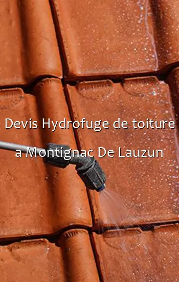 Devis Hydrofuge de toiture a Montignac De Lauzun