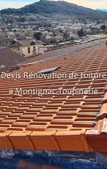 Devis Rénovation de toiture a Montignac Toupinerie