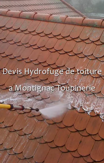 Devis Hydrofuge de toiture a Montignac Toupinerie