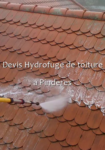 Devis Hydrofuge de toiture a Pinderes