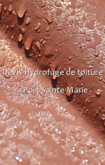 Devis Hydrofuge de toiture a Port Sainte Marie